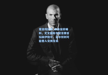 爱游戏体育_米体独家曝料，尤文图斯冬窗首要目标赫伊别尔，洛卡特利可能卷入交换交易