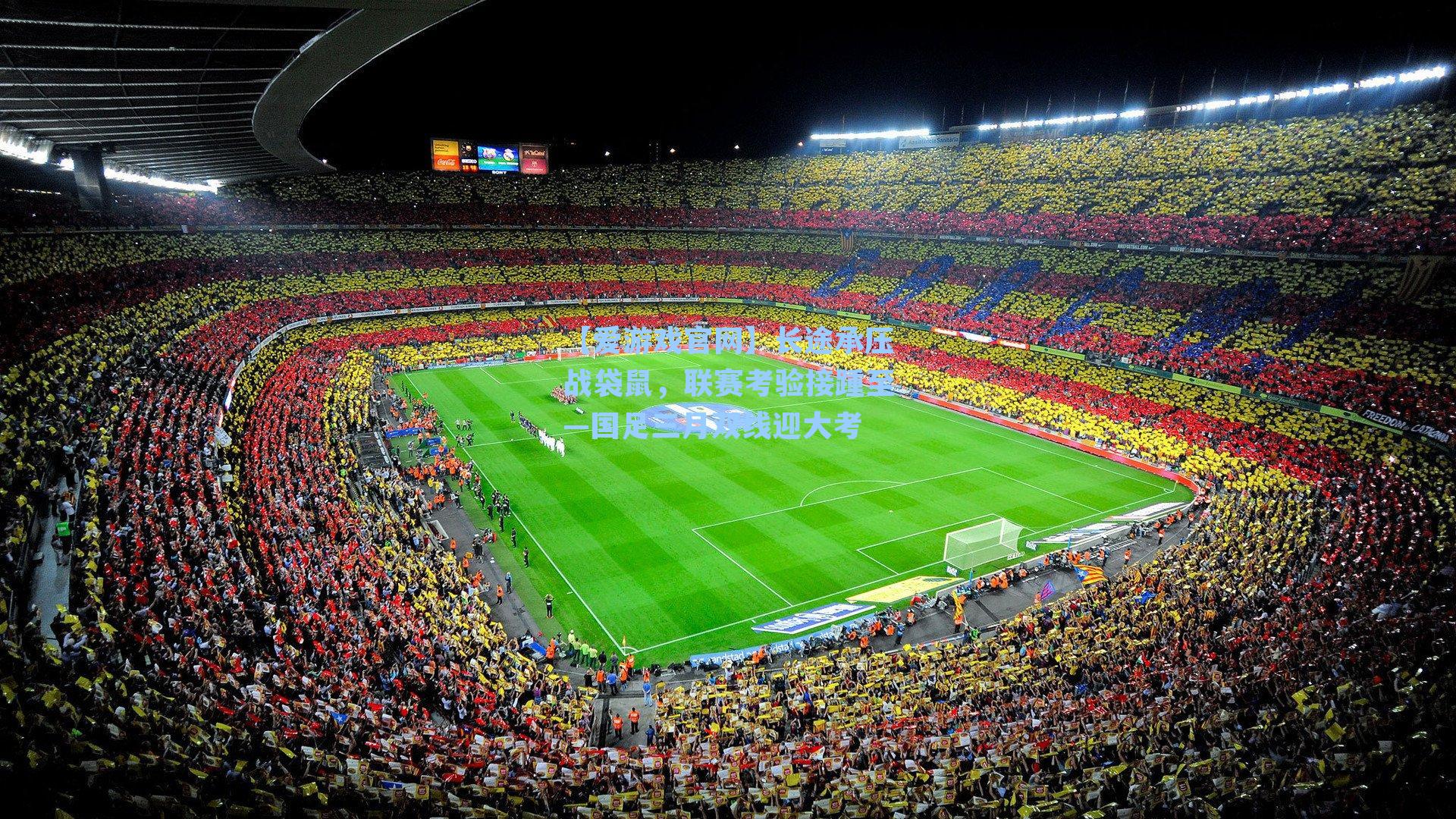 长途承压战袋鼠，联赛考验接踵至—国足三月双线迎大考